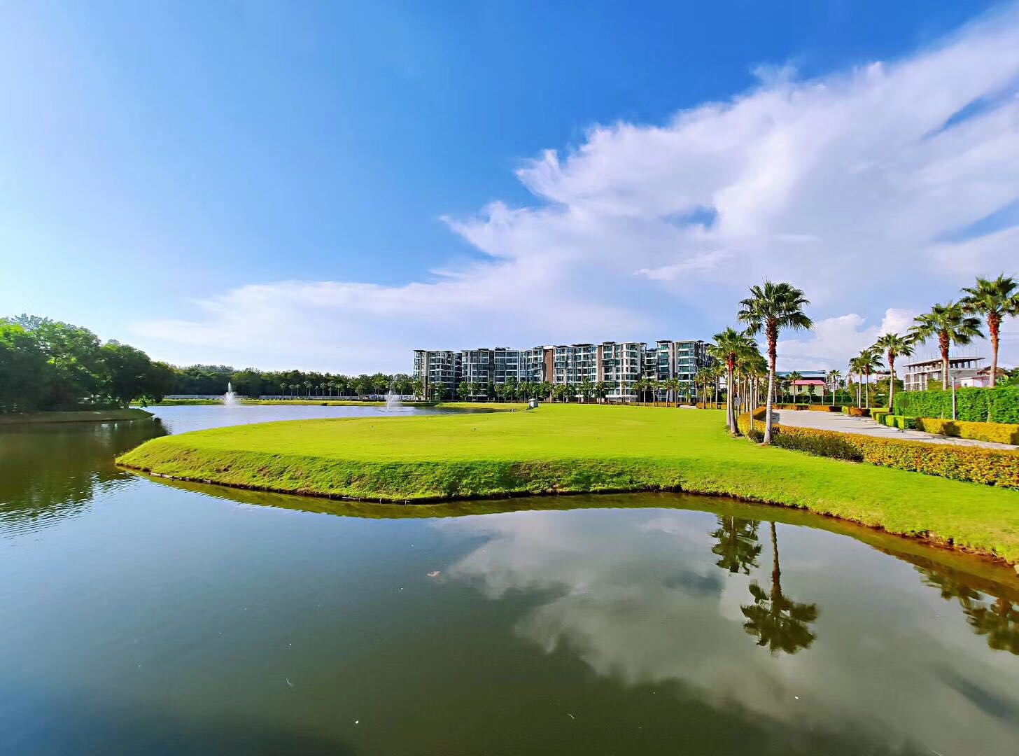 項(xiàng)目實(shí)景(五)